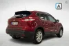 Nissan Qashqai DIG-T 163 Business 360 2WD 6M/T E6 17